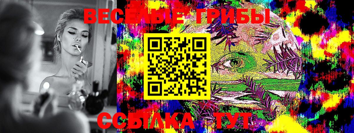 хочу наркоту  Галлюциногенные грибы GOLDEN TEACHER  Хасавюрт  Вход с VPN  Галлюциногенные грибы ЛСД 